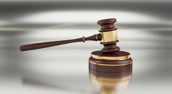 gavel-constitution.jpg